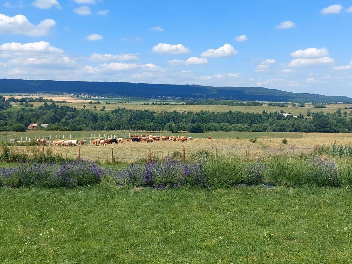 Panorama House Brdy Villa Příbram Eksteriør bilde